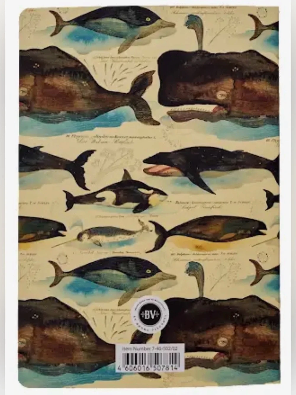 BV by Bruno Visconti these notebooks